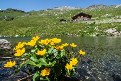 Lac du lou