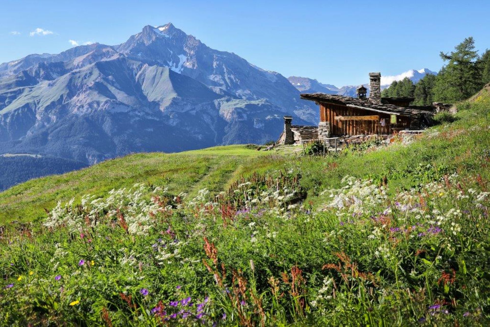 Le refuge au milieu des alpages