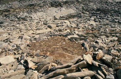 Sols polygonaux créés sous l'effet du gel et du dégel, visibles au Col d'Aussois.