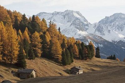 Chalets du vallon de l'Orgère en automne.