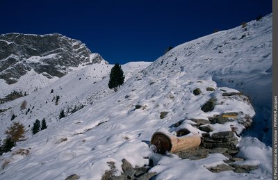 Bachal près de la Source du Vin