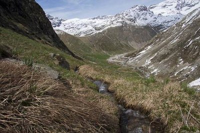 Un canal d'irrigation servant à alimenter en eau les prairies de fauches situées au fond du Vallon de la Duis en contrebas.