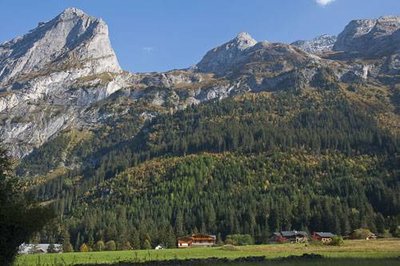 La forêt communale de Pralognan la Vanoise. Commune de Pralognan la Vanoise.