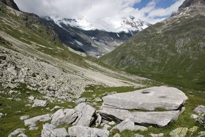 Pierre à cupules (calcschiste à grain fin et tendre pour la gravure) et son "escalier". Fd. Vallon de la Leisse.