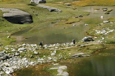 Randonneurs marchant en bordure des Lacs des Lozières.