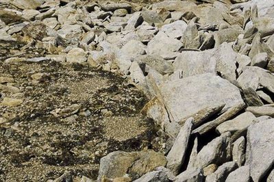 Éléments minéraux organisés en sols polygonaux sous l'action du gel et du regel.