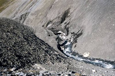 Le Torrent de la Leisse, névés et pierriers de la Grande Casse. Vallon de la Leisse, Termignon.