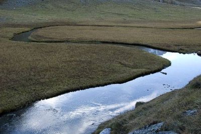 Méandre sur le Ponturin au Plan de la Plagne. 