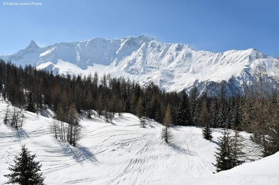 Aliet et Bellecôte depuis la clairière des Vernettes