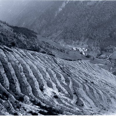 ouverture des banquettes au cours de l'été 1960 - plantation à l'automne.