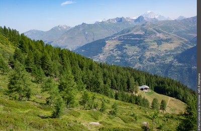 La Réserve Naturelle des Hauts de Villaroger