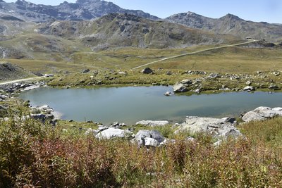 Le lac intermédiaire de Tête Ronde