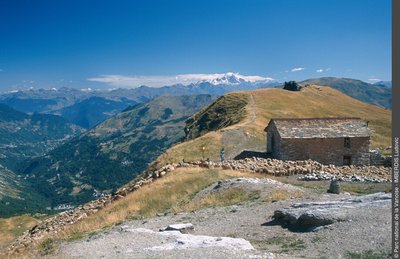 Troupeau de moutons à Chaffat