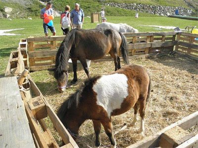 La ferme équestre du Bouc Blanc