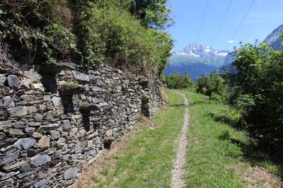 Le chemin des vignes