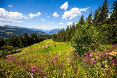 Point de vue vers la vallée de Moûtiers