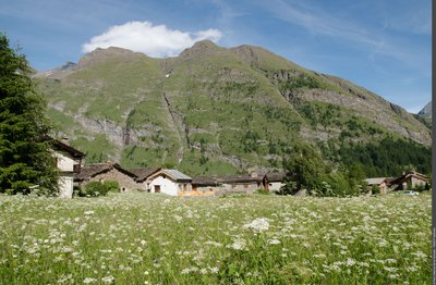 Maisons du Villaron et prairies de fauche