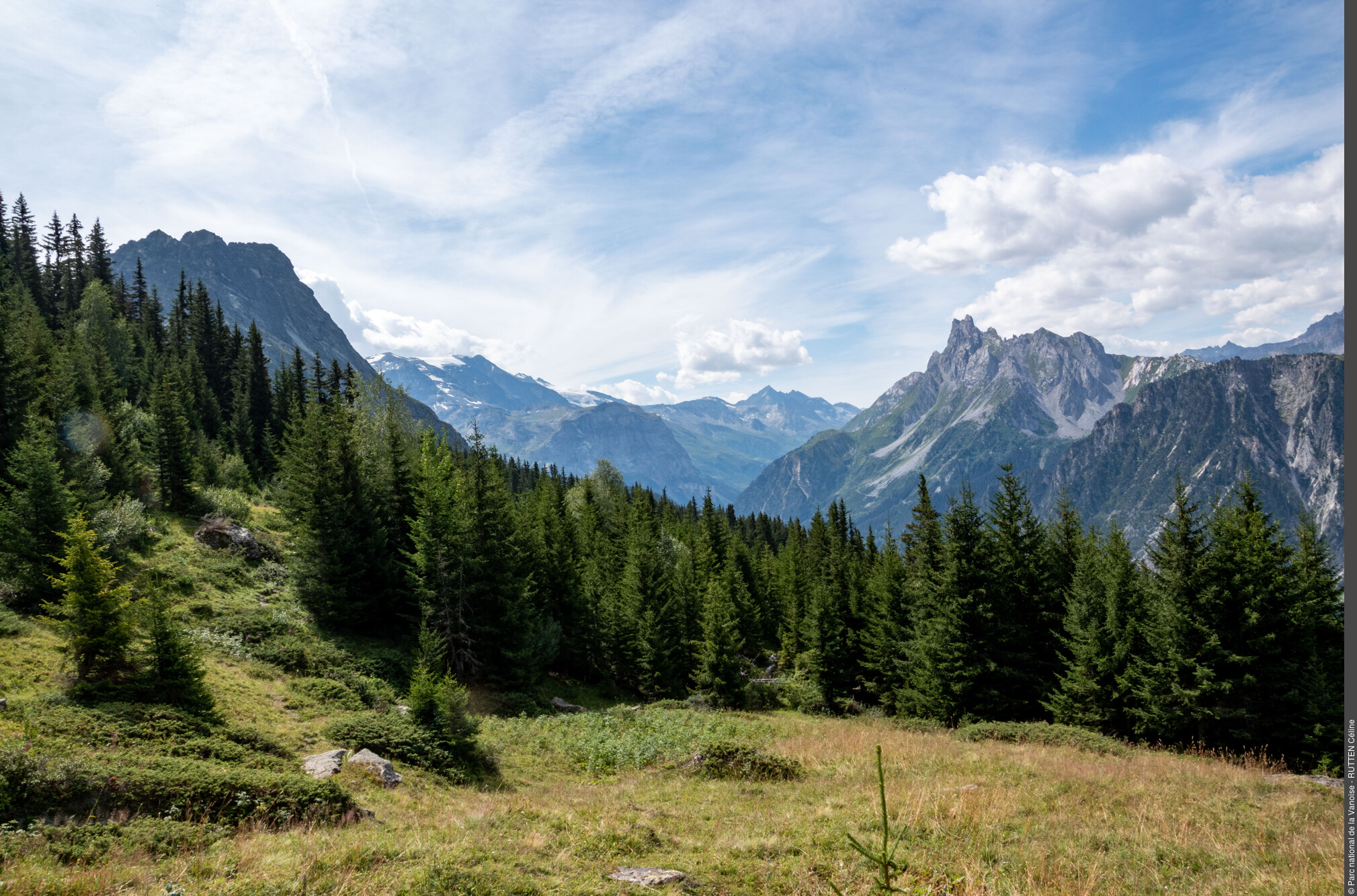 Vue à partir de Plan Fournier -  Le Planay