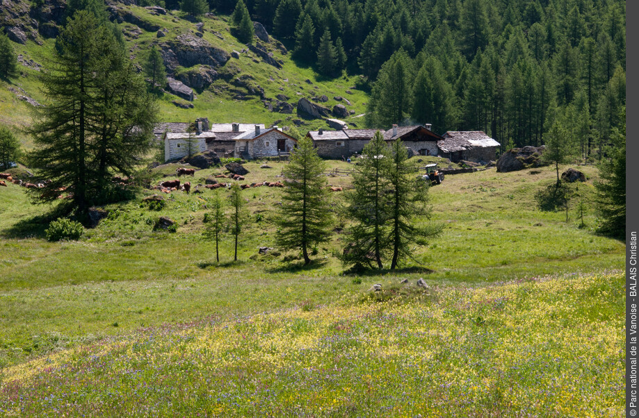 Le hameau du Monal