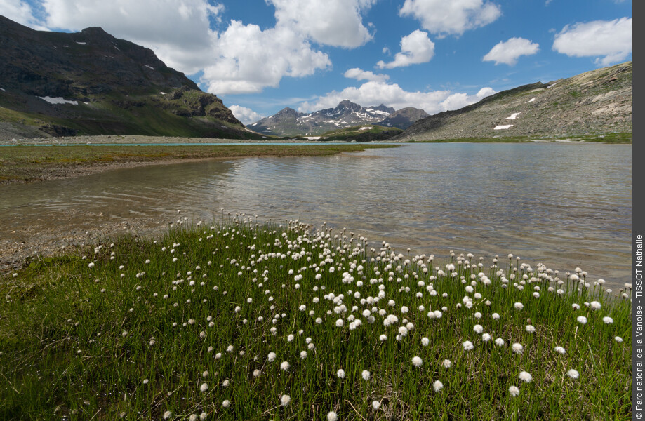 Lac glaciaire du Plan des Évettes