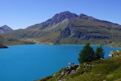 Vue sur le lac du Mont Cenis depuis le jardin alpin