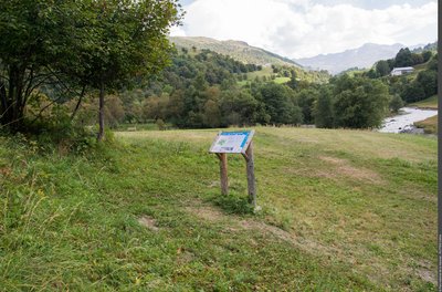 Sur le sentier des zones humides de Burdin