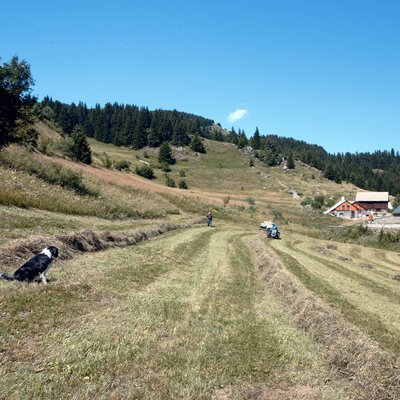 Ambiance champêtre au Sapey des Cohendets