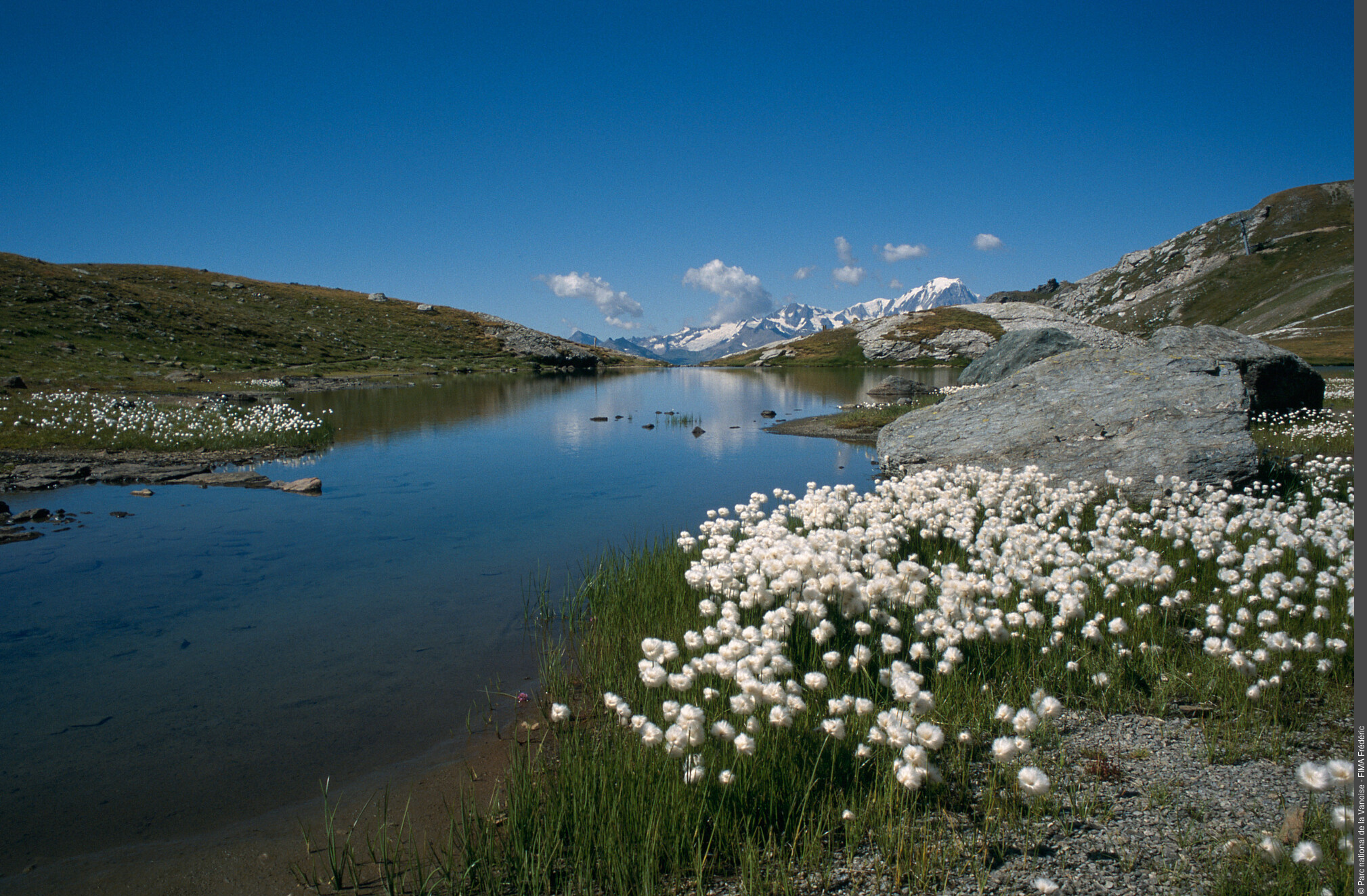 Le Lac des Moutons