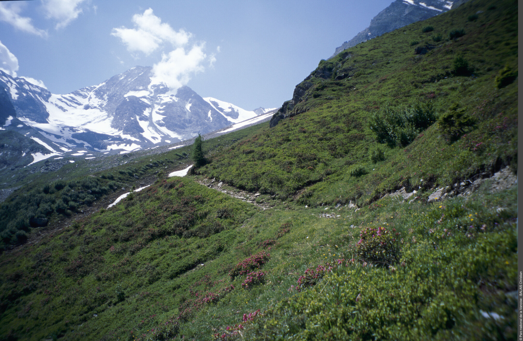 Sentier d'accès au refuge de la Turia