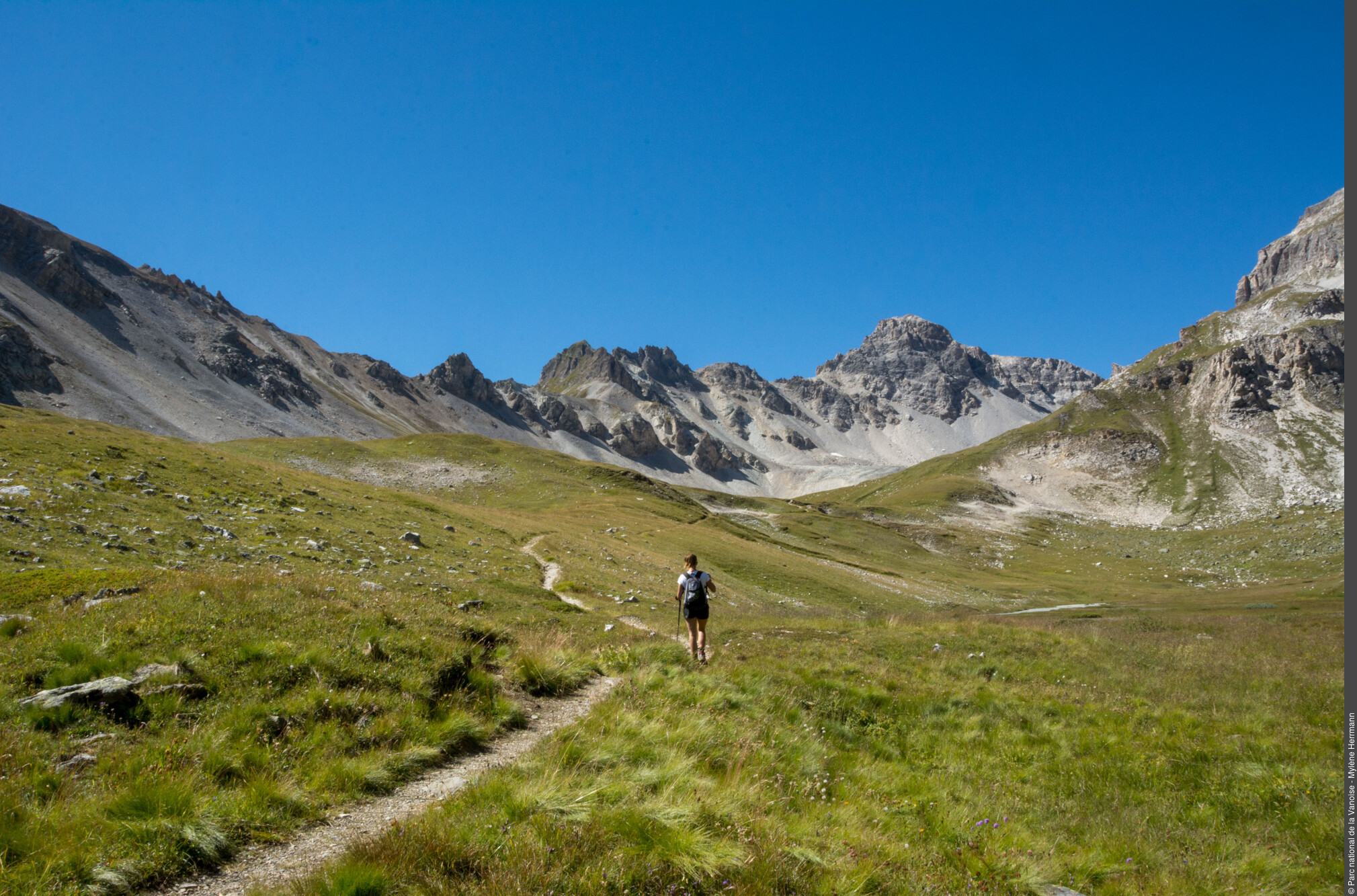 Sentier qui traverse le Vallon de la Sache et qui mène au Col de la Sachette