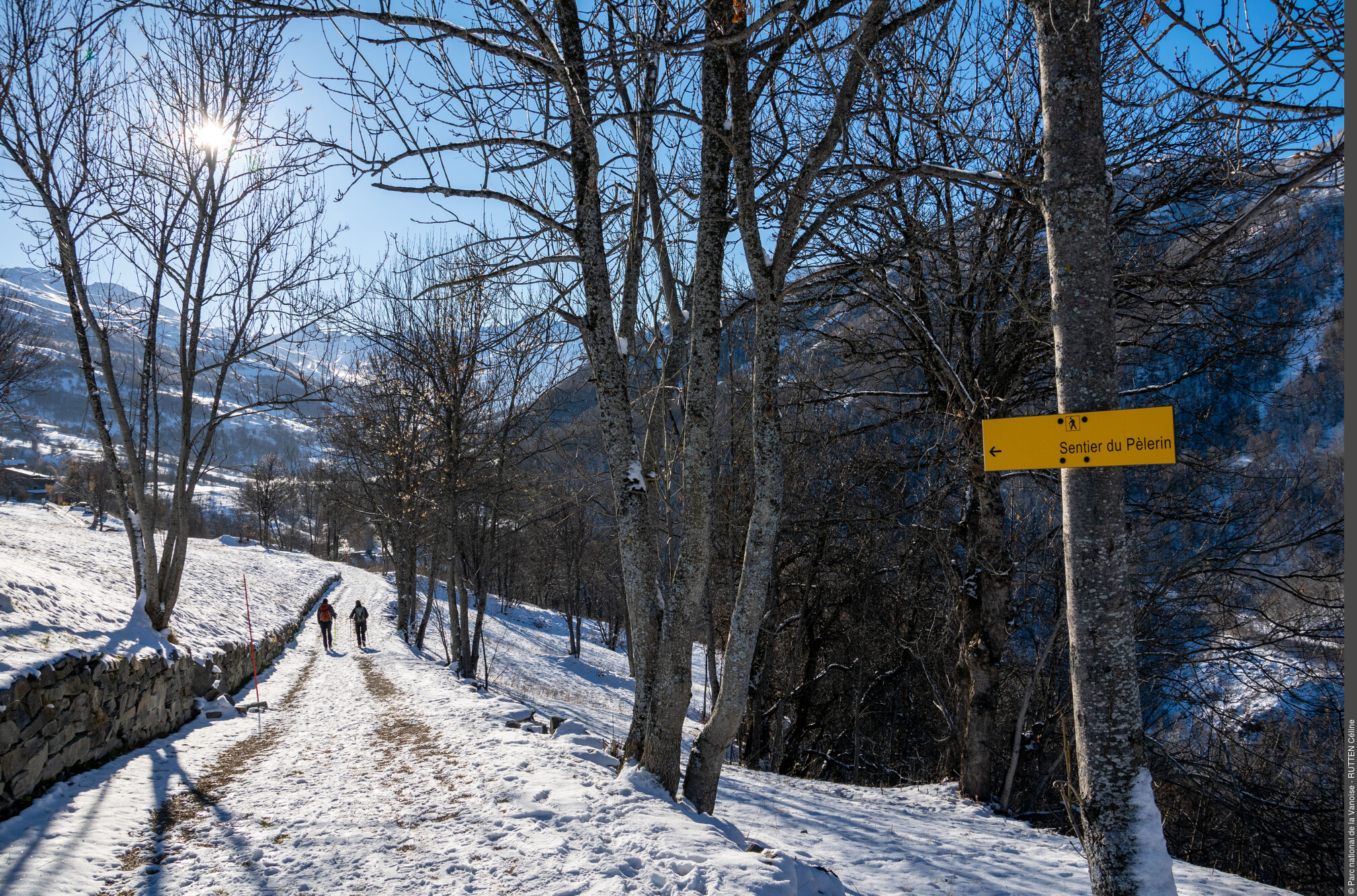 Ambiance hivernale sur le sentier du Pèlerin