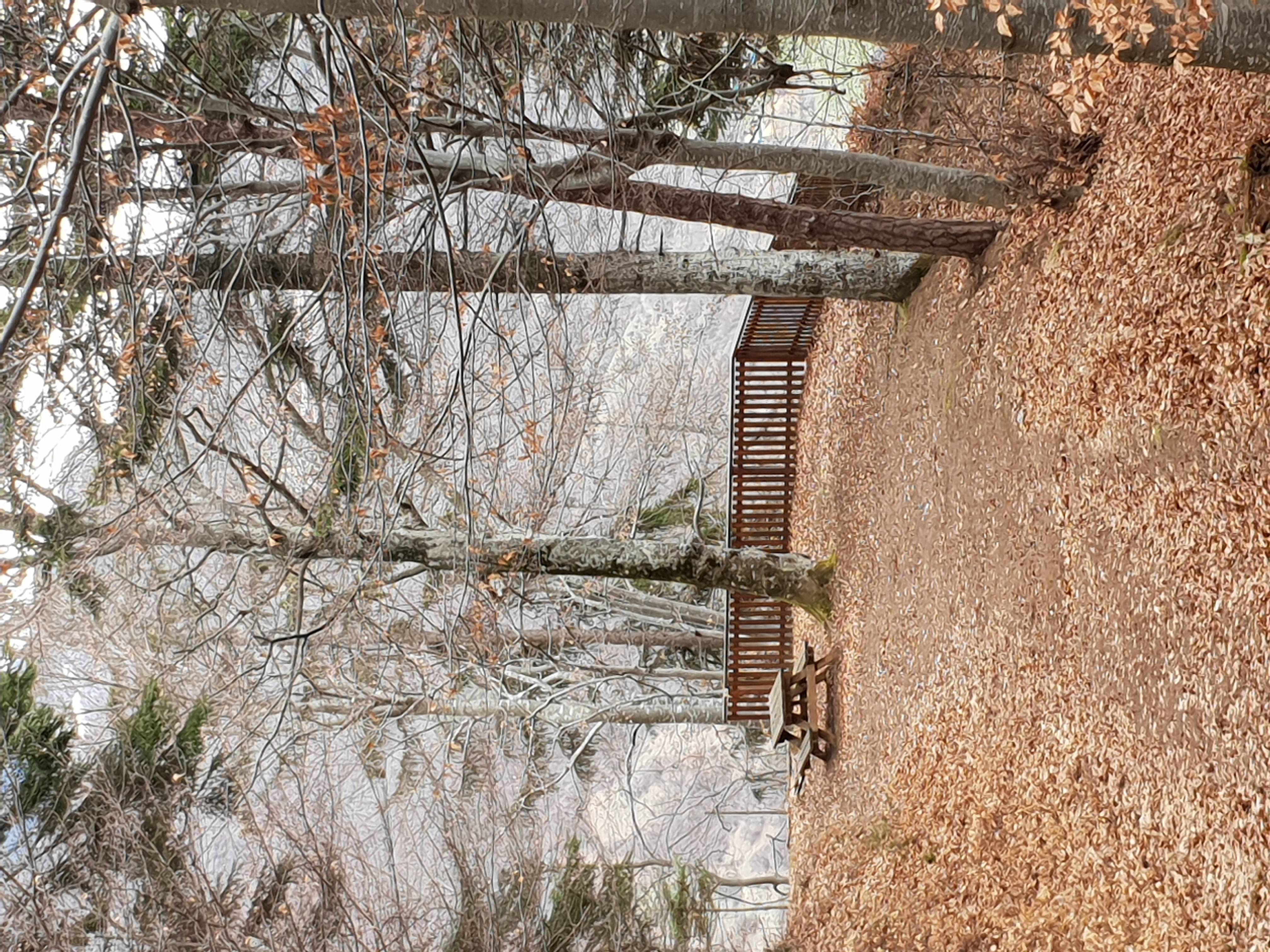 Randonnée Salins- Fontaine