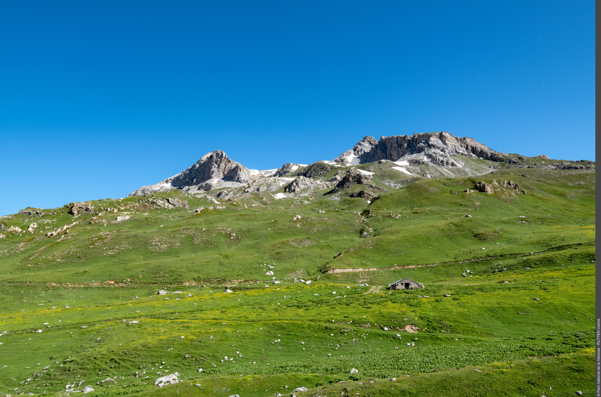 Roche Noire et la Pointe de la Vallaisonnay dominent l'alpage du Plan du Sel.