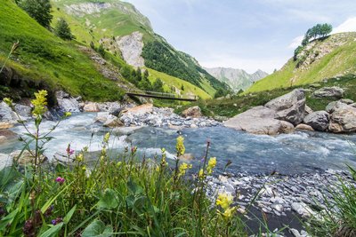 Torrent des Encombres