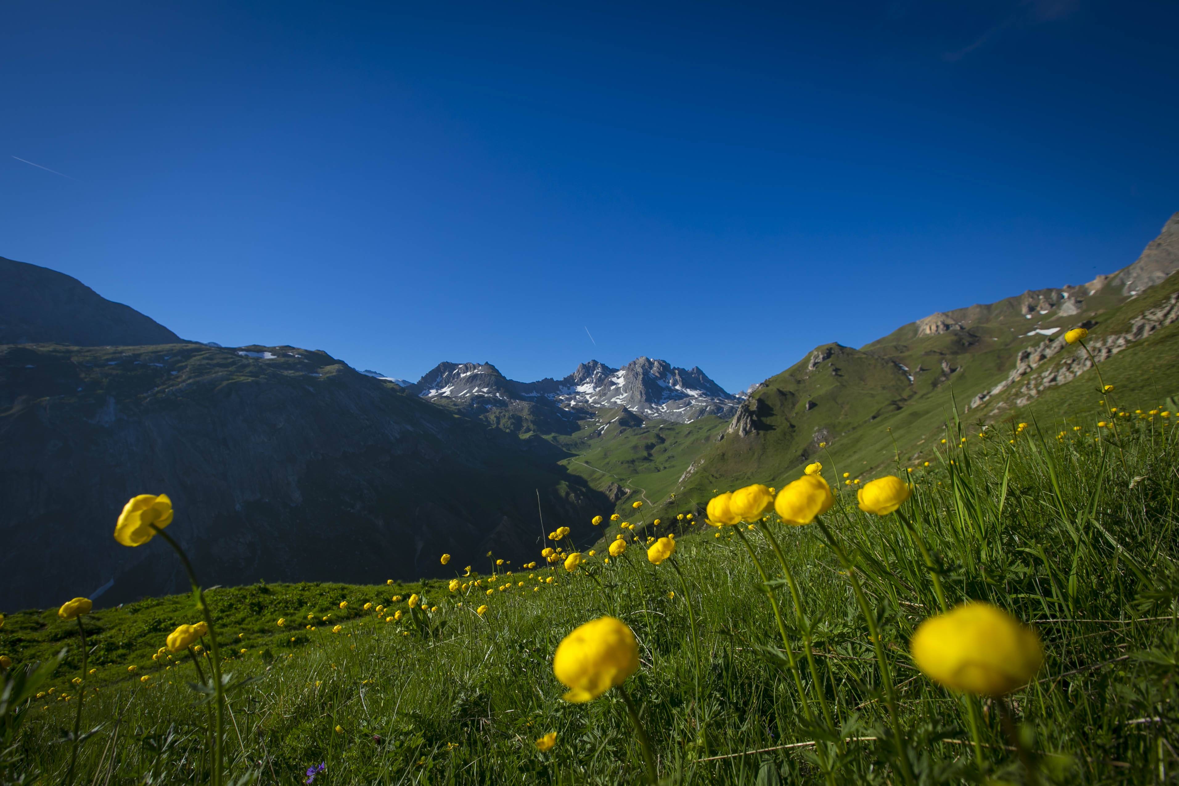 La vallée des Avals