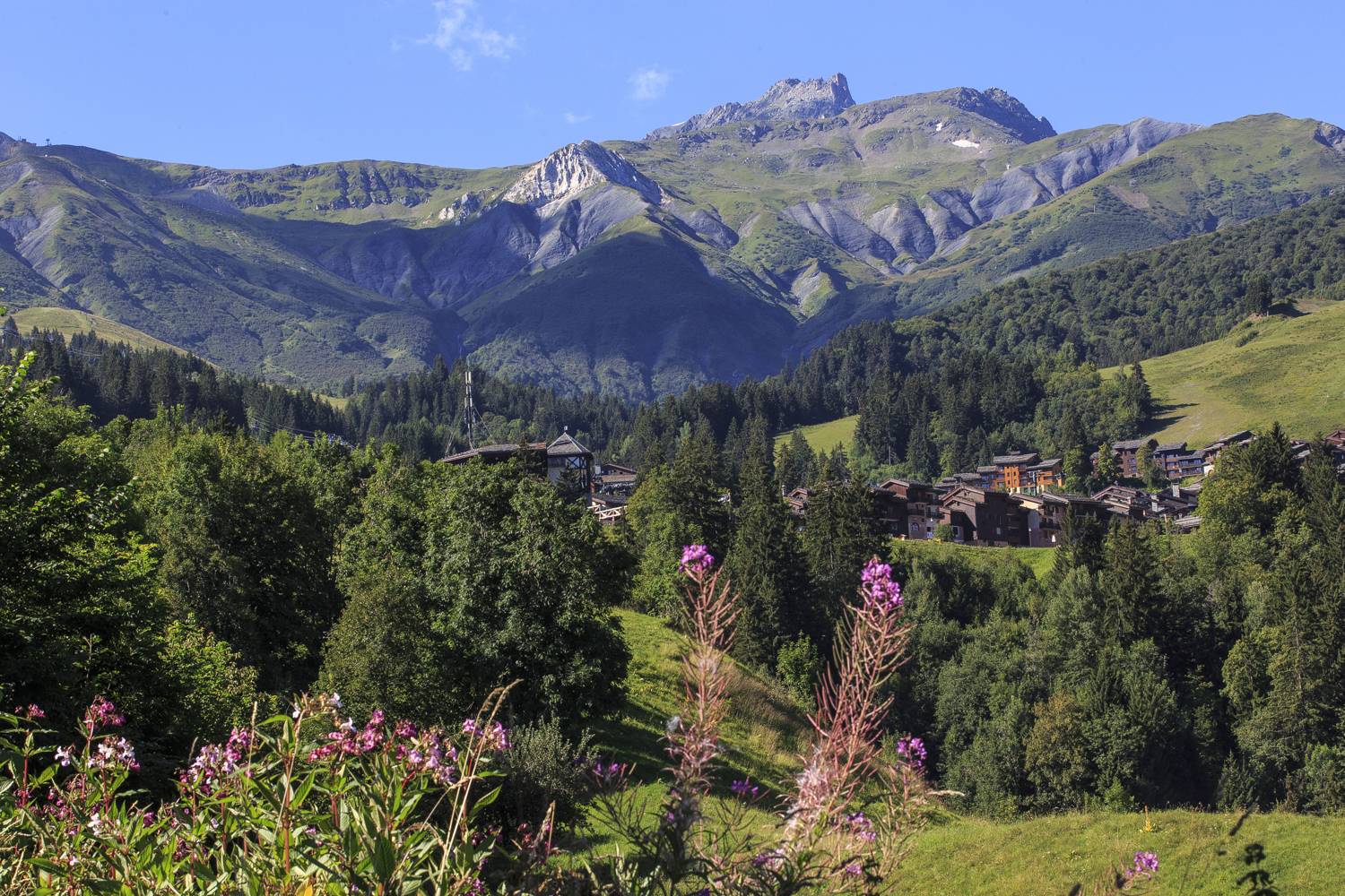 Vallée du Morel