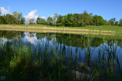 Lac du Loup